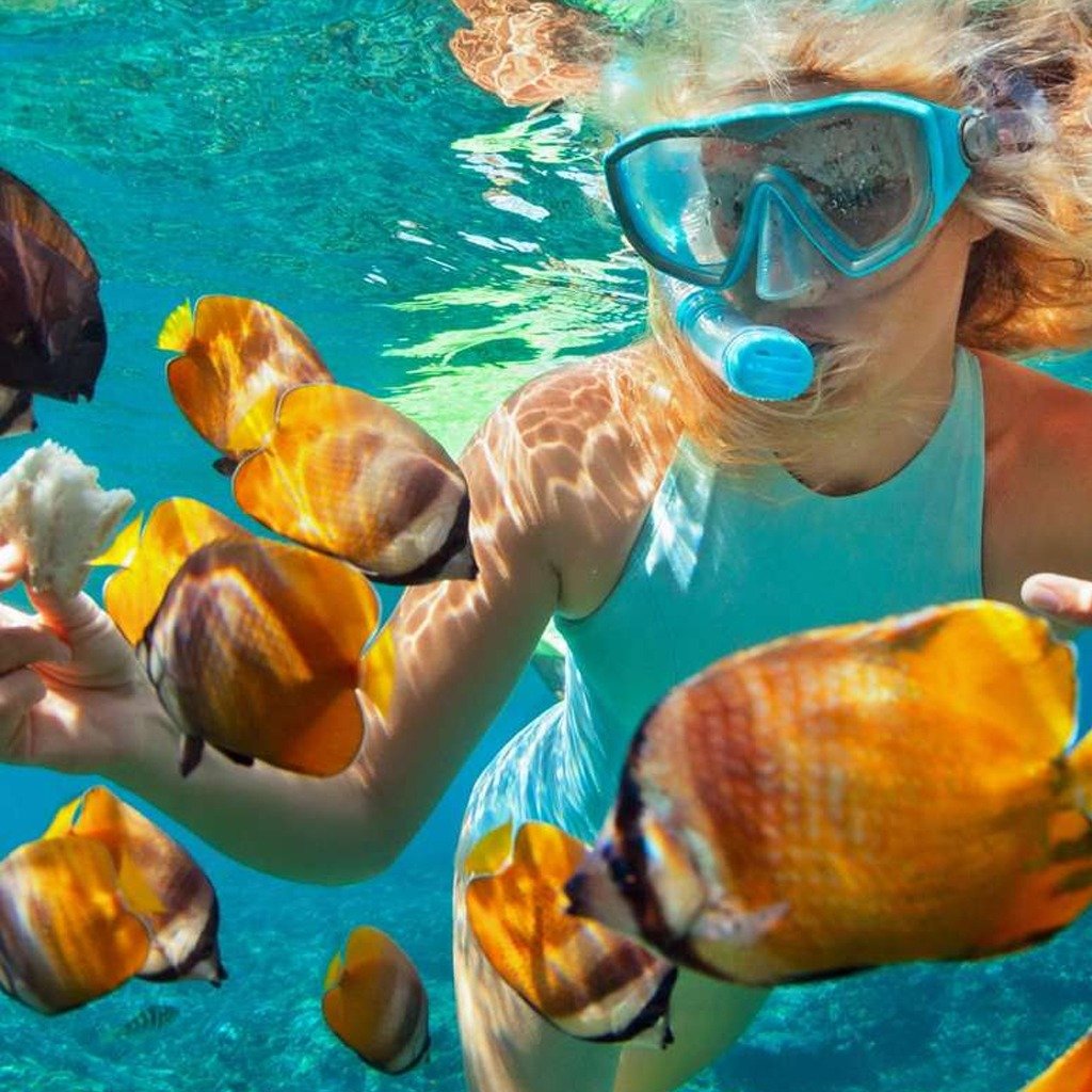 Diving Day Trip By Boat at Ras Mohamed or Tiran Island