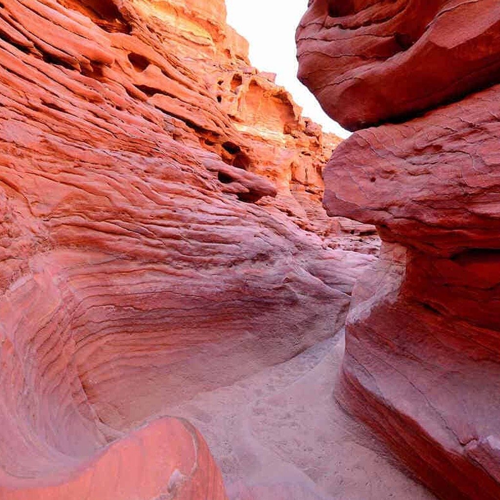 The Sharm Desert Adventure – 5 Tours in 1