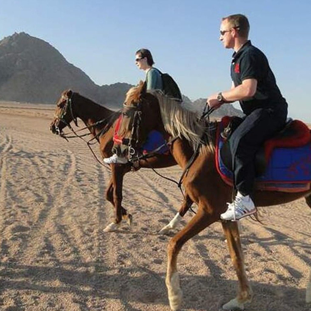 Sharm Desert Horse Riding