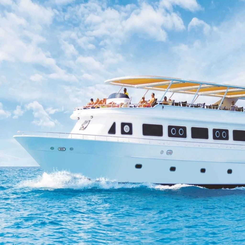 Snorkelling at Ras Mohammed National Park by Road