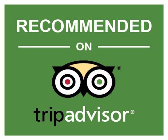 tripadvisor